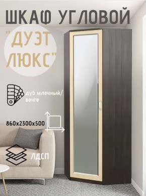 Шкаф угловой Дуэт Люкс с зеркалом в Воткинске - votkinsk.mebel24.online | фото 5
