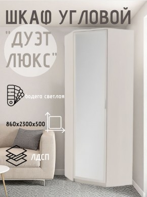 Шкаф угловой Дуэт Люкс с зеркалом в Воткинске - votkinsk.mebel24.online | фото 6