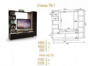 Стенка для гостиной ТВ-1 в Воткинске - votkinsk.mebel24.online | фото 2