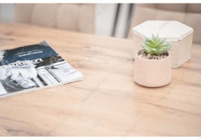 Стол обеденный Тринити Лофт 120 в Воткинске - votkinsk.mebel24.online | фото 6