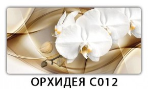 Стол раздвижной Трилогия с фотопечатью Доска D111 в Воткинске - votkinsk.mebel24.online | фото 13
