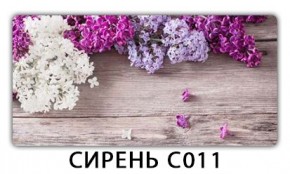 Стол раздвижной Трилогия с фотопечатью Доска D111 в Воткинске - votkinsk.mebel24.online | фото 16