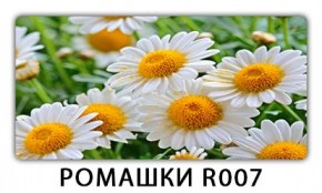 Стол раздвижной Трилогия с фотопечатью Доска D112 в Воткинске - votkinsk.mebel24.online | фото 15