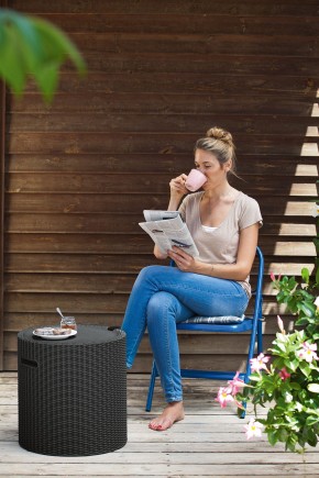 Столик-холодильник Кул-Стул (Cool stool) графит в Воткинске - votkinsk.mebel24.online | фото 1