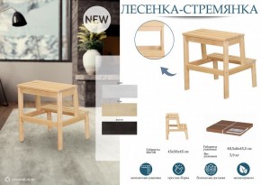 Табурет Стремянка в Воткинске - votkinsk.mebel24.online | фото 4