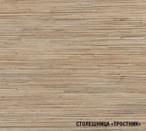 ТОМИЛЛА Кухонный гарнитур Оптима 5 (2700*1600 мм ) в Воткинске - votkinsk.mebel24.online | фото 6