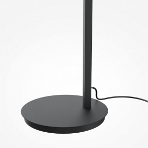 Торшер Maytoni Emphaty MOD363FL-L14B3K в Воткинске - votkinsk.mebel24.online | фото 5