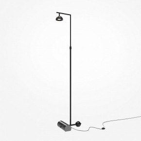 Торшер Maytoni Pikant MOD372FL-L10B3K в Воткинске - votkinsk.mebel24.online | фото 2