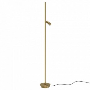 Торшер Maytoni Thin MOD395FL-L28BS3K в Воткинске - votkinsk.mebel24.online | фото