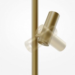 Торшер Maytoni Thin MOD395FL-L28BS3K в Воткинске - votkinsk.mebel24.online | фото 6