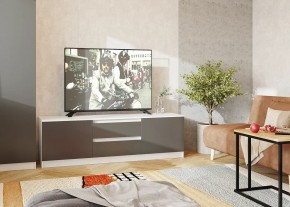 Тумба ТВ большая Парус (Белый/Графит) в Воткинске - votkinsk.mebel24.online | фото 2