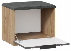 Тумбочка для обуви Хилтон Исп 2.1 в Воткинске - votkinsk.mebel24.online | фото 2