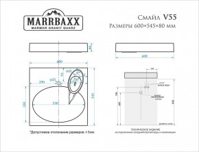 Умывальник над стиральной машиной (600*545*80) Смайл V55D1 (белый) с кронштейном без сифона (V55D1) в Воткинске - votkinsk.mebel24.online | фото 2