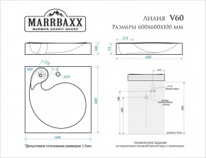 Умывальник над стиральной машиной (600*600х100) Лилия V60 (белый) с кронштейном без сифона (V60) в Воткинске - votkinsk.mebel24.online | фото 2