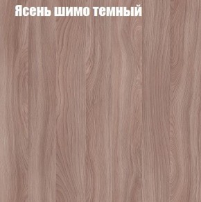 ВЕНЕЦИЯ Стенка (3400) ЛДСП в Воткинске - votkinsk.mebel24.online | фото 7