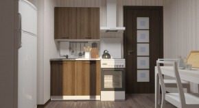 ЯНА Кухонный гарнитур Мини (1000 мм) в Воткинске - votkinsk.mebel24.online | фото